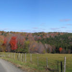 road view